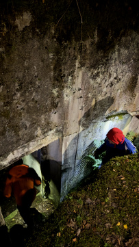 Тур на каяках (байдарках) по фортам и островам Выборгского залива 2-5 дней (с лодкой)