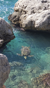 В Сердце Ликийской тропы (Поход вдоль моря, без рюкзаков)