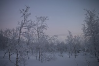 Зимняя Сказка в Хибинах: лыжные прогулки в горах (разведка)