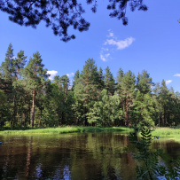 Поход на сапах по реке Нерская с ночевкой в палатках