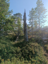 Сплав по реке Кереть и Белое море