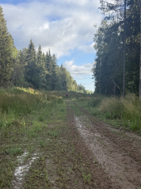 Пеший поход в советскую сказку
