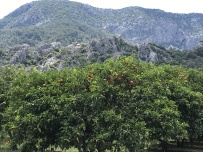 По Ликийской тропе через горы к морю (классический пеший поход)