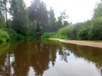 Сплав на байдарках по реке Нерская с баней на берегу и автосопровождением