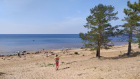 Велопрогулка вдоль залива к форту Красная Горка