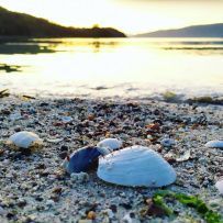 Тур по Лофотенским островам и Норвежскому морю на морских каяках + треккинг в горы