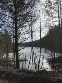 Ночь в Партизанской пещере (с пещерным кинотеатром)