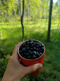 Семейный лагерь на Селигере—Остров Робинзонов