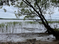 Поход на байдарках по Московскому морю