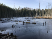Ночь в Партизанской пещере (с пещерным кинотеатром)