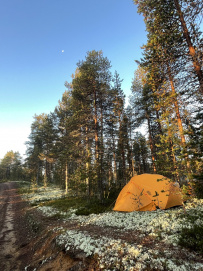 Аметистовый берег Белого моря