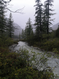 Горный лагерь в Актру (проживание в домиках)