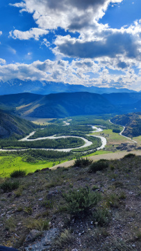 Горный лагерь в Актру (проживание в домиках)