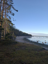 Далекий финский берег