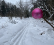 Страна белоснежных троп (однодневный лыжный)