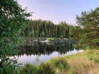 Сплав по реке Шуя
