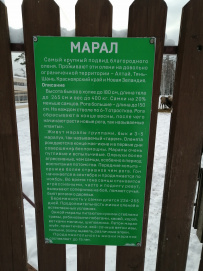Зимние приключения на Урале с детьми 7+