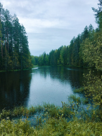 Трекинг по Оредежским берегам