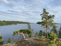 Три дня по Ладожским шхерам на байдарках (с трансфером)
