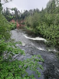Трекинг по Оредежским берегам