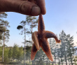 Сплав по реке Кереть и Белое море