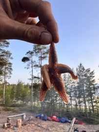 Сплав по реке Кереть и Белое море