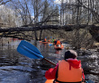 Сплав по реке Поля «Cквозь лес на байдарках»