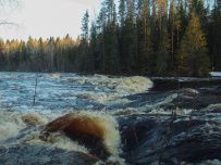 Сплав по реке Шуя на майские