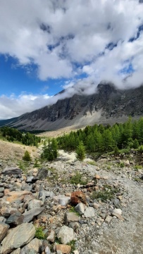 Горный лагерь в Актру (проживание в домиках)
