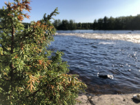 Сплав по реке Пистайоки (Писта)