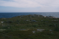 Белое море на морских каяках (байдарках): Карельский берег