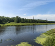 Однодневный пеший поход «Звенигородский заказник и карьер Сима»
