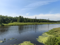 Однодневный пеший поход «Звенигородский заказник и карьер Сима»
