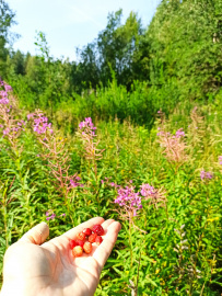 Пеший поход в Каннельярви