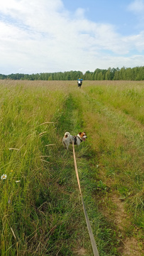 Шёпот мещёрских лесов да гладь озёр