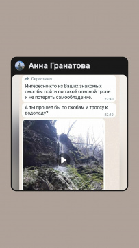 Южное цветочное путешествие: кавказские цикламены и подснежники