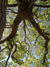 Сложный поход «Три калужских водопада» 