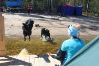 Тур Ладожские шхеры на каяках