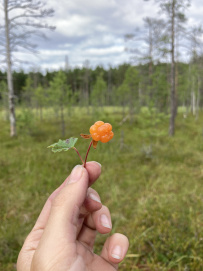Ладога на каяках длинный поход (4-9 дней)