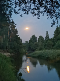 Сплав по реке Киржач на байдарках с баней на берегу