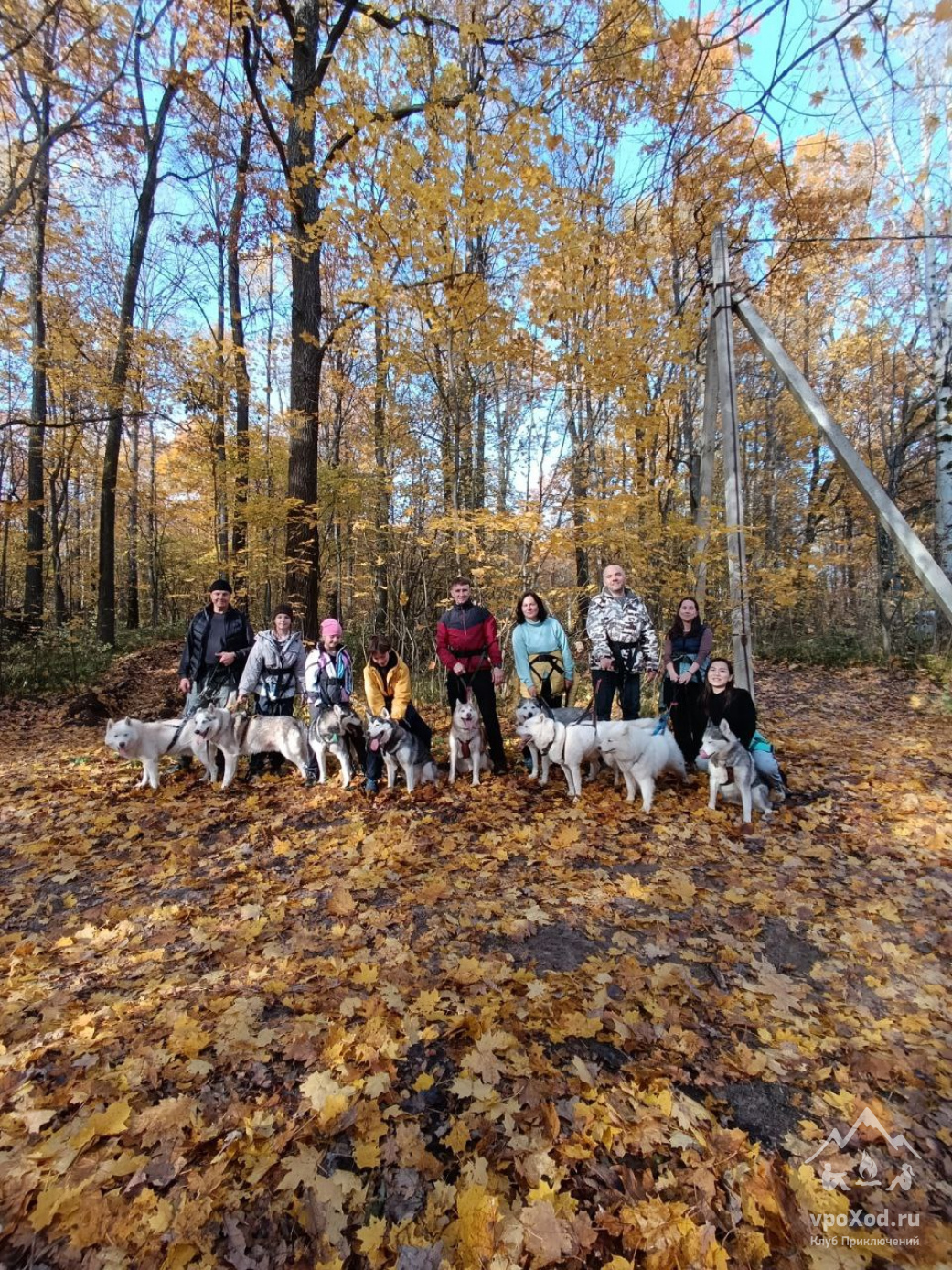 Однодневный поход-трекинг с хаски