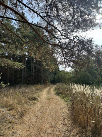 Пеший поход «Волшебными тропами Киржача» (Владимирская область)