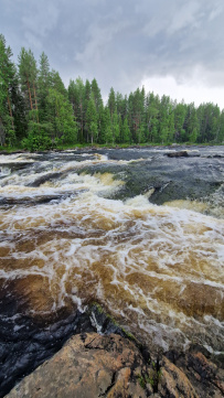 Сплав по реке Воньга и Белое Море на байдарках