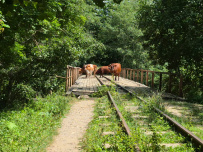 Горный лагерь в Мезмае [Кавказ]