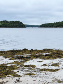 Сплав по реке Кереть и Белое море