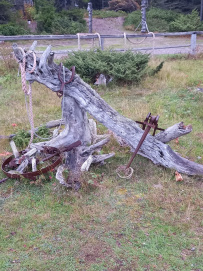 Поморские выходные