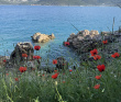 В Сердце Ликийской тропы (Поход вдоль моря, без рюкзаков)