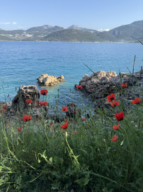 В Сердце Ликийской тропы (Поход вдоль моря, без рюкзаков)