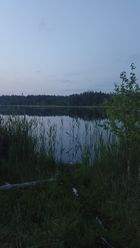 Шёпот мещёрских лесов да гладь озёр