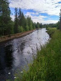 Сплав по реке Янисйоки